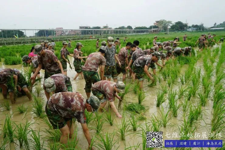 篮球教练如何制定总决赛的长期发展计划_0