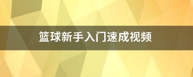 外国篮球训练视频在线观看