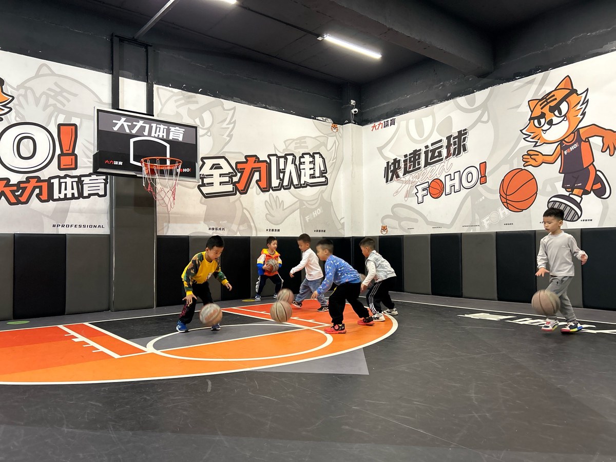 哪里能找到提供即时反馈的篮球训练营