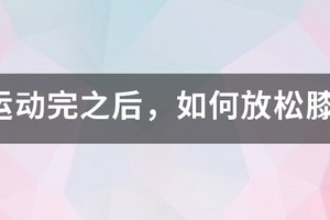 篮球训练结束后的拉伸动作膝盖